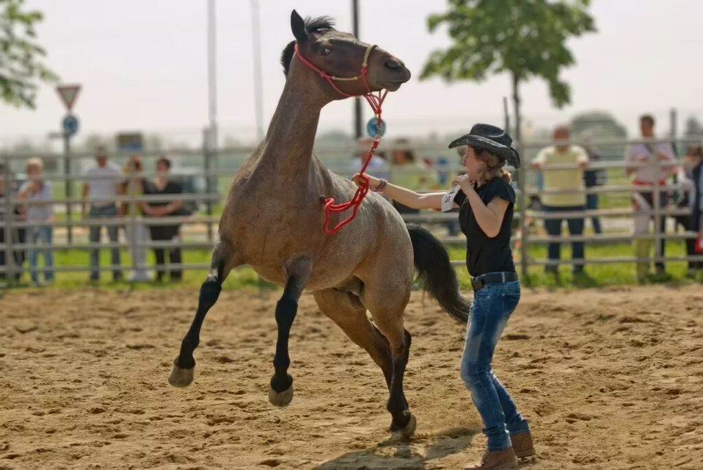 Eine Frau beruhigt ein aufgerichtetes Pferd im Sandplatz – symbolisch für innere Anspannung und den Umgang mit Angst im Pferdetraining nach traumatischen Erlebnissen.